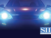 SIDVID24 Website Image