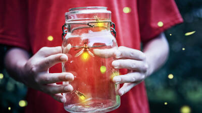 fireflies in a jar