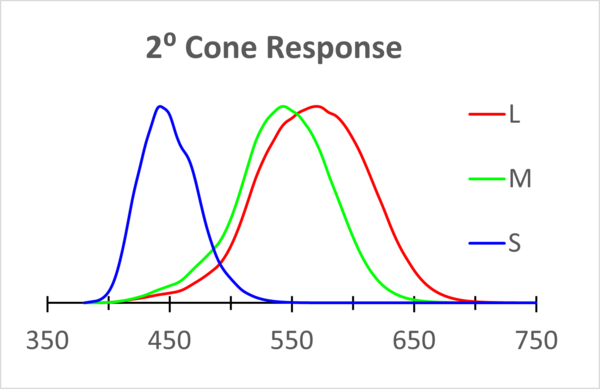 Where Perception Meets Reality: The Science of Measuring Color