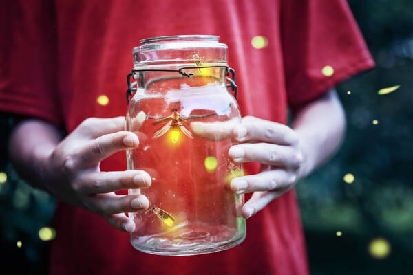 fireflies in a jar