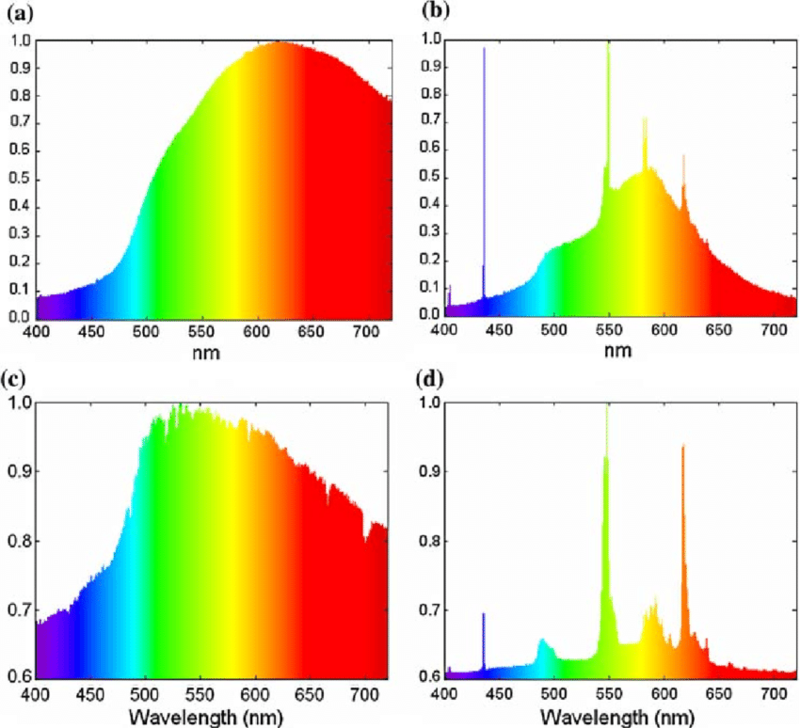 Normalized spectral power distributions_SPD