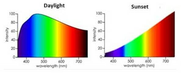 SPDs of natural light