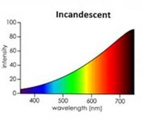 SPD of incandescent light