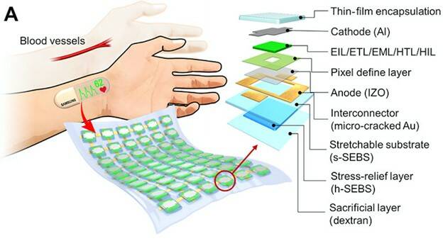 stretchable display_heart sensor film